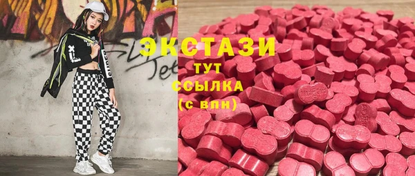 гидра Гусь-Хрустальный